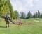 Osoba zdmuchuje liście z trawnika za pomocą dmuchawy. W tle widoczne są drzewa i pole golfowe.