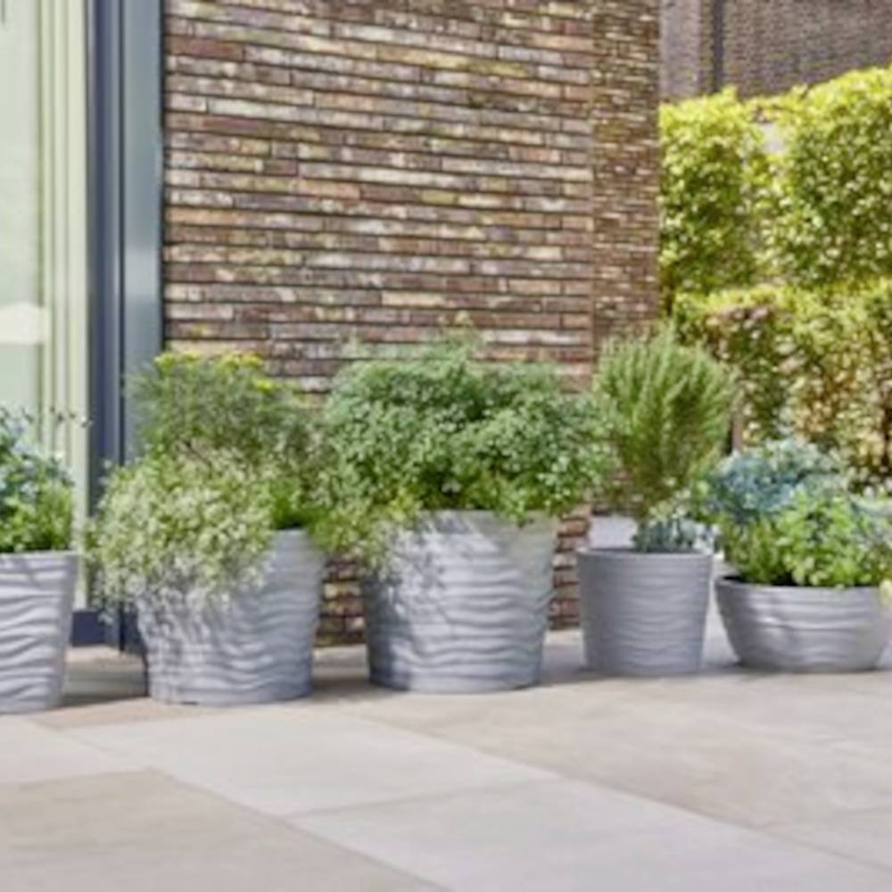 Rośliny w szarych doniczkach na tarasie przed ścianą z cegły. Różne zielone krzewy, ułożone w schludnym rzędzie.