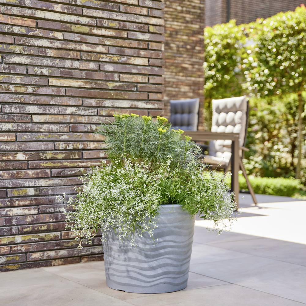 Duży doniczka z zielonymi i białymi roślinami stoi na tarasie obok ceglanego muru. W tle widoczne są krzesła ogrodowe.