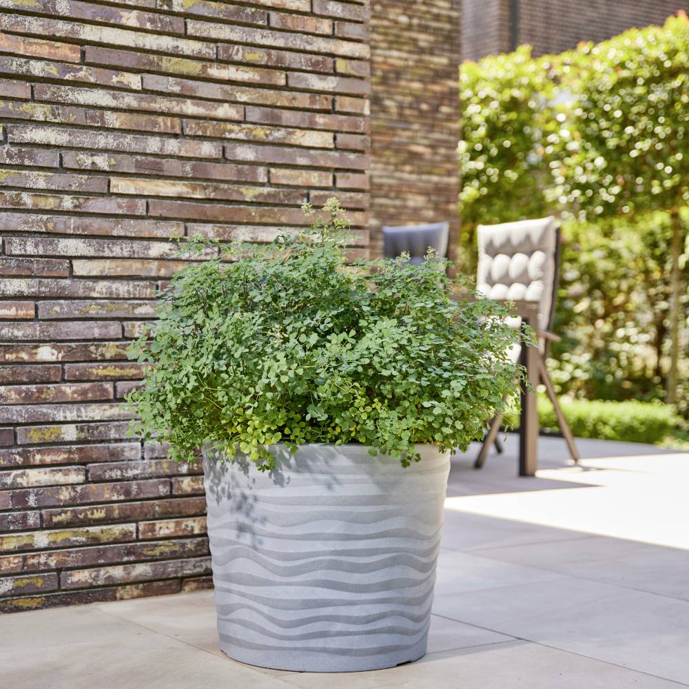 Szary doniczka z zielonymi krzewami stoi na tarasie obok muru z cegły. W tle niewyraźne krzesła ogrodowe.