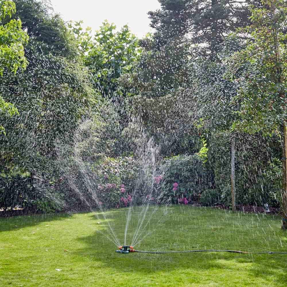 Trawnik w ogrodzie jest nawadniany przez zraszacz. W tle drzewa i krzewy, słoneczna pogoda.