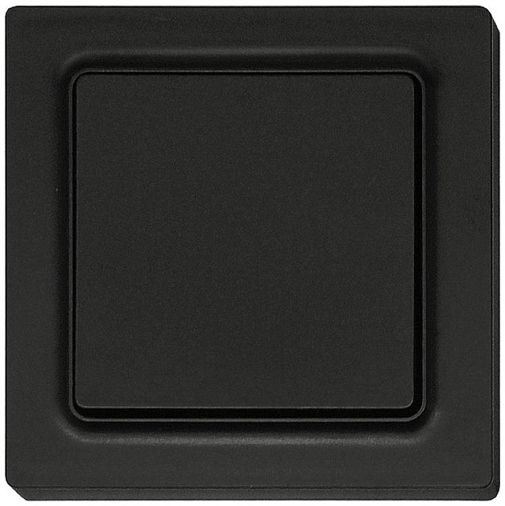 F2T55E-am Бездротова 2-канальна кнопка поверхневого монтажу Eltako. Максимальна дальність дії 30 м