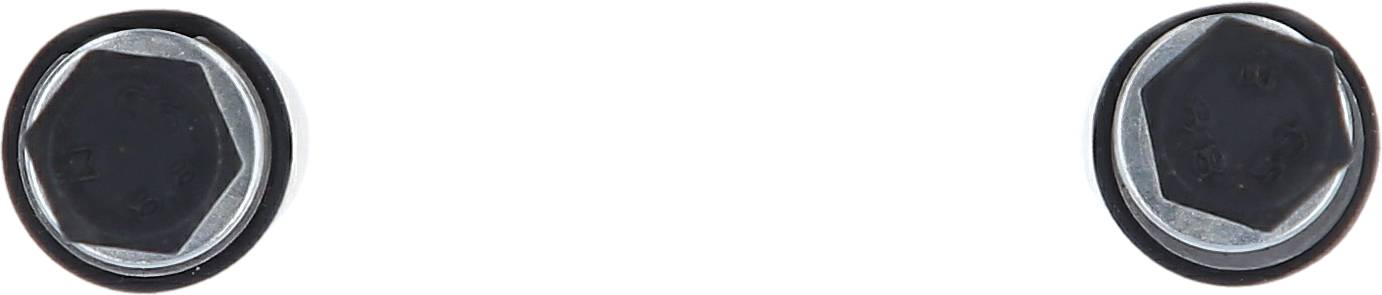 Dwie czarne śruby sześciokątne na białym tle; wydają się być przeznaczone do mocowań technicznych lub mechanicznych.