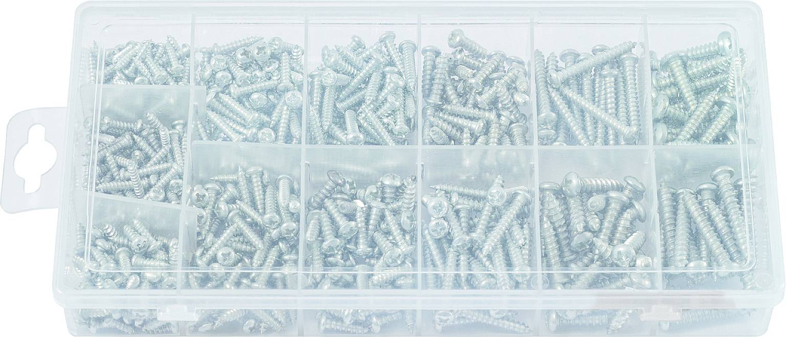 Plastikowe pudełko z wieloma srebrnymi śrubami różnych rozmiarów, ułożonymi w oddzielnych przegródkach.