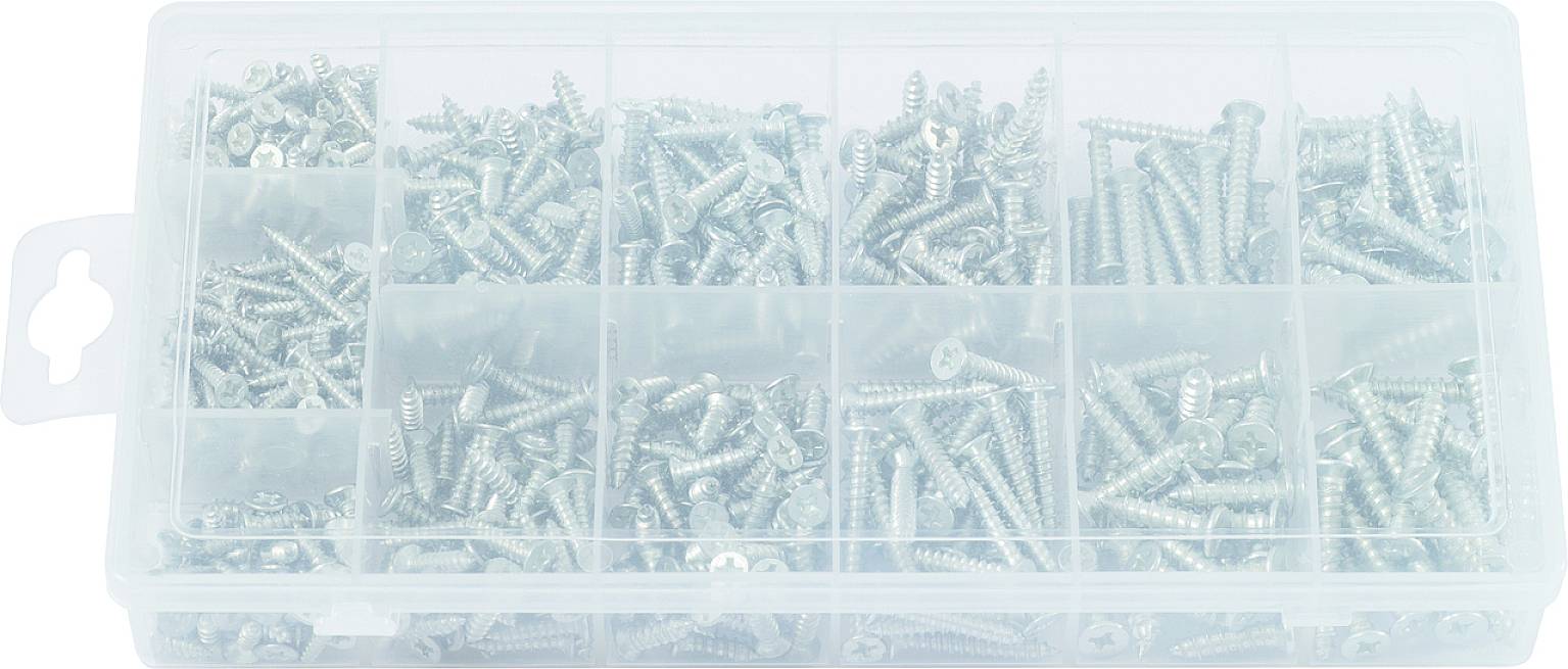 Przezroczyste pudełko z wieloma przegródkami, z których każda zawiera śruby metalowe różnych rozmiarów.