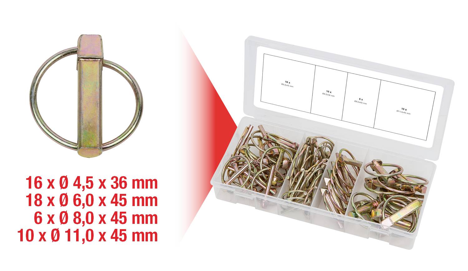 Otwarte plastikowe pudełko z różnymi metalowymi pierścieniami i sworzniami w oddzielnych przegródkach. Rozmiary: 16 x Ø 4,5 mm, 18 x Ø 6,0 mm, 6 x Ø 8,0 mm, 10 x Ø 11,0 mm.