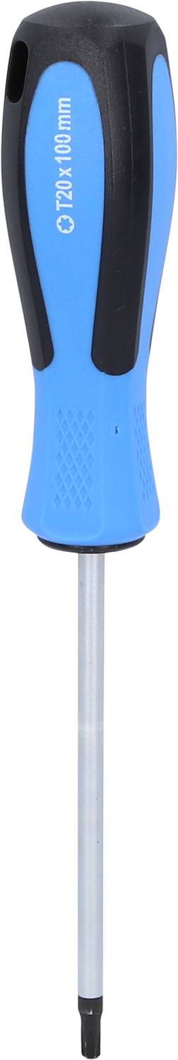 Niebieski wkrętak z czarnym uchwytem, z końcówką Torx T10, uchwyt oznaczony '100 x 2mm', odpowiedni do precyzyjnych zastosowań.