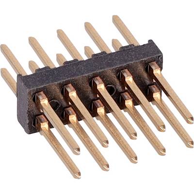 Zbliżony widok złącza wtykowego (header) o 10 pinach z pięcioma parami równoległych, pozłacanych pinów, stosowanego do połączeń w obwodach elektronicznych.
