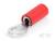 Czerwony końcówka kablowa z metalowym uchem pierścieniowym, ujęcie z boku. Odpowiednia do połączeń elektrycznych.