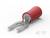 Czerwony, cylindryczny konektor elektryczny z końcówką rozwidloną, stosowany typowo do łączenia przewodów w obwodach elektrycznych.