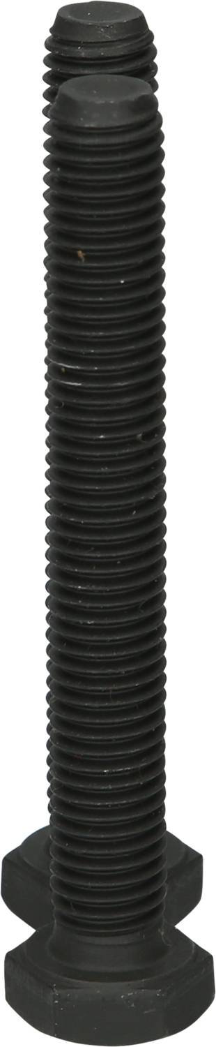 Duży czarny śruba z gwintem stoi pionowo na białym tle.
