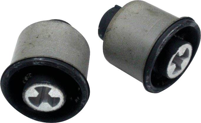 Dwie zgubione śruby z łbem krzyżowym w kolorze srebrnym leżą na białym tle. Odpowiednie do połączeń mechanicznych.