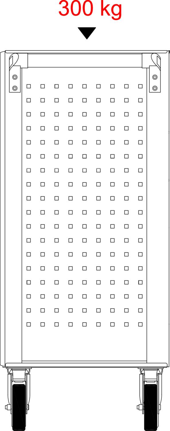Wózek z prostokątną platformą, dwa koła skrętne z przodu, dwa stałe. Nad wózkiem czerwony napis '300 kg', oznaczający maksymalną ładowność.
