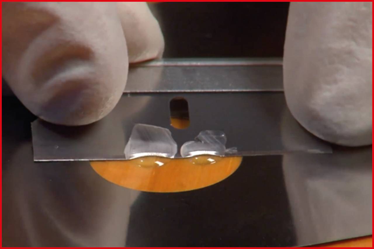 Zbliżenie dwóch białych próbek materiału na żyletce, trzymanej przez osobę w rękawiczkach. Na tle widoczna jest żółta powierzchnia.