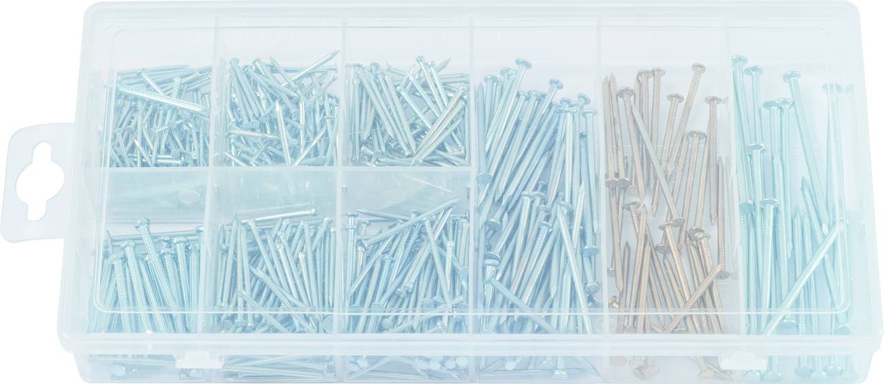 Plastikowe pudełko z przegródkami zawiera różne rodzaje gwoździ o różnych rozmiarach i stylach, głównie w kolorze srebrnym.