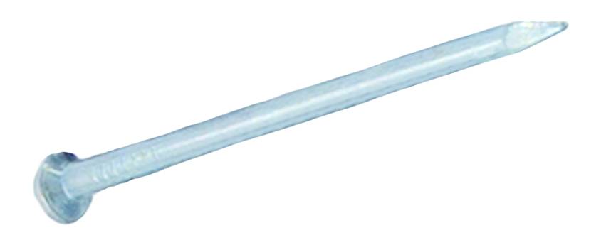 Pojedynczy metalowy gwóźdź o płaskiej główce i ostrej końcówce, leżący na białym tle.