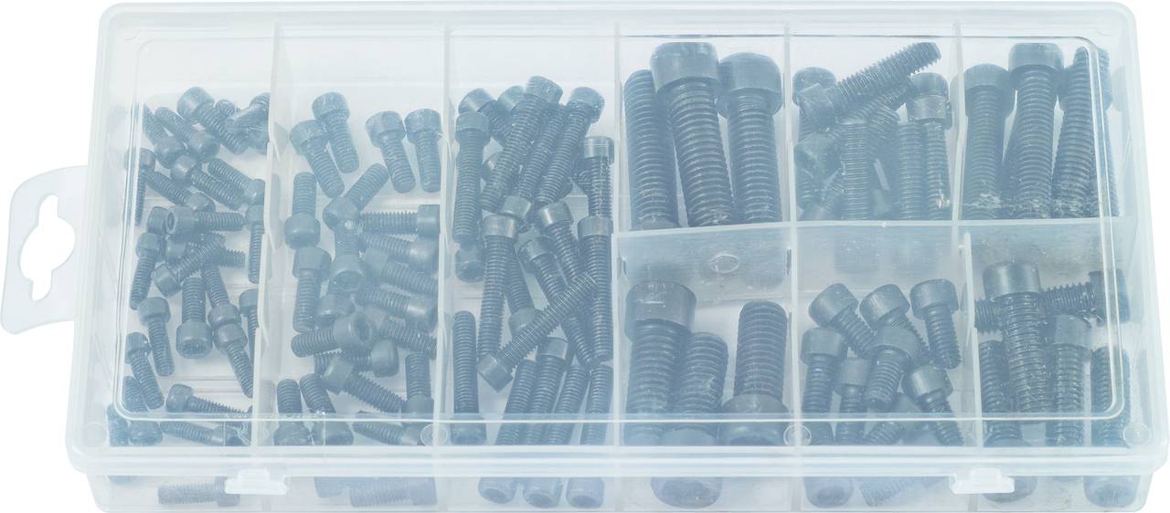 Plastikowe pudełko z wieloma przegródkami, zawierające różne rodzaje i rozmiary czarnych metalowych śrub.