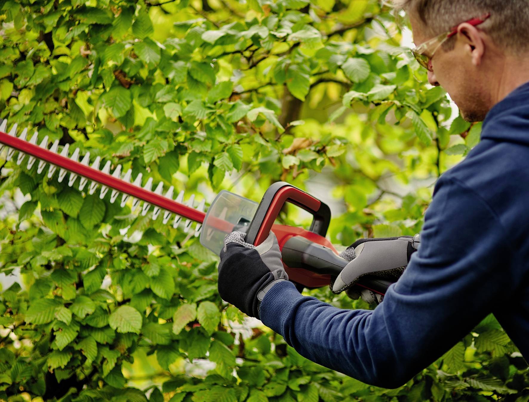 Mężczyzna przycina krzewy elektrycznym nożycami do żywopłotu, jest ubrany w okulary ochronne i rękawice.