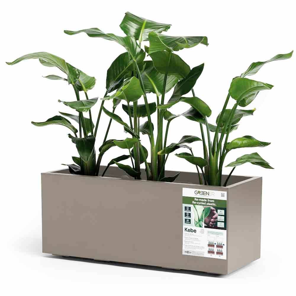 euro3plast Greener KEBE 3154.G9 Пластиковий ящик для рослин темно-сірий