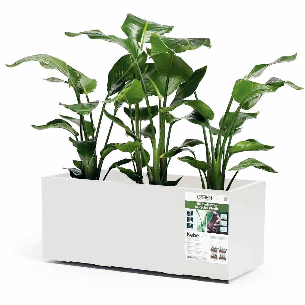 euro3plast Greener KEBE 3154.03 Ящик для рослин пластиковий білий