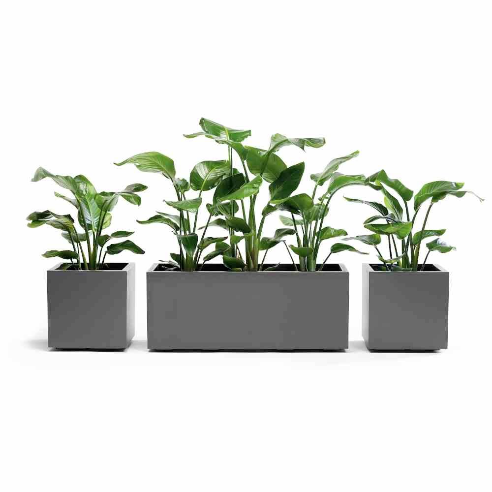 euro3plast Greener KEBE 3157.62 Пластиковый ящик для растений антрацитового цвета