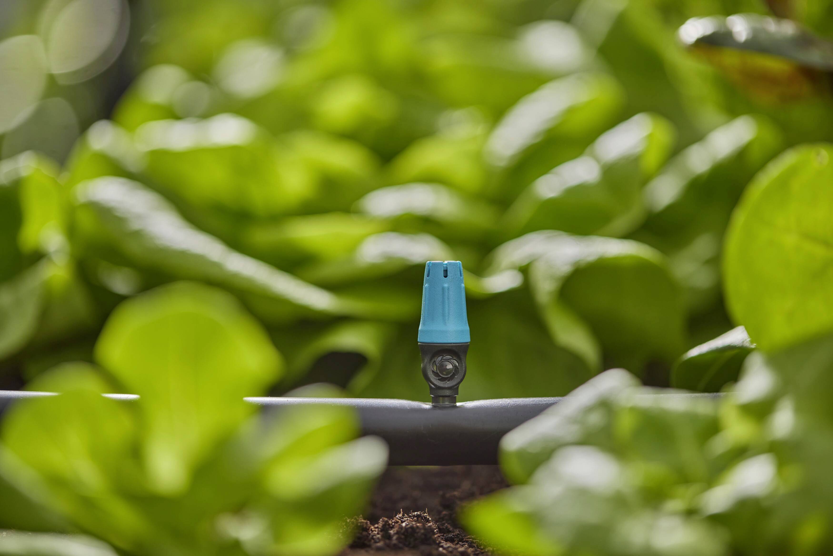 GARDENA Micro-Drip-System 13306-20 Endkleinflächendüse 13 mm (1/2") Ø-4