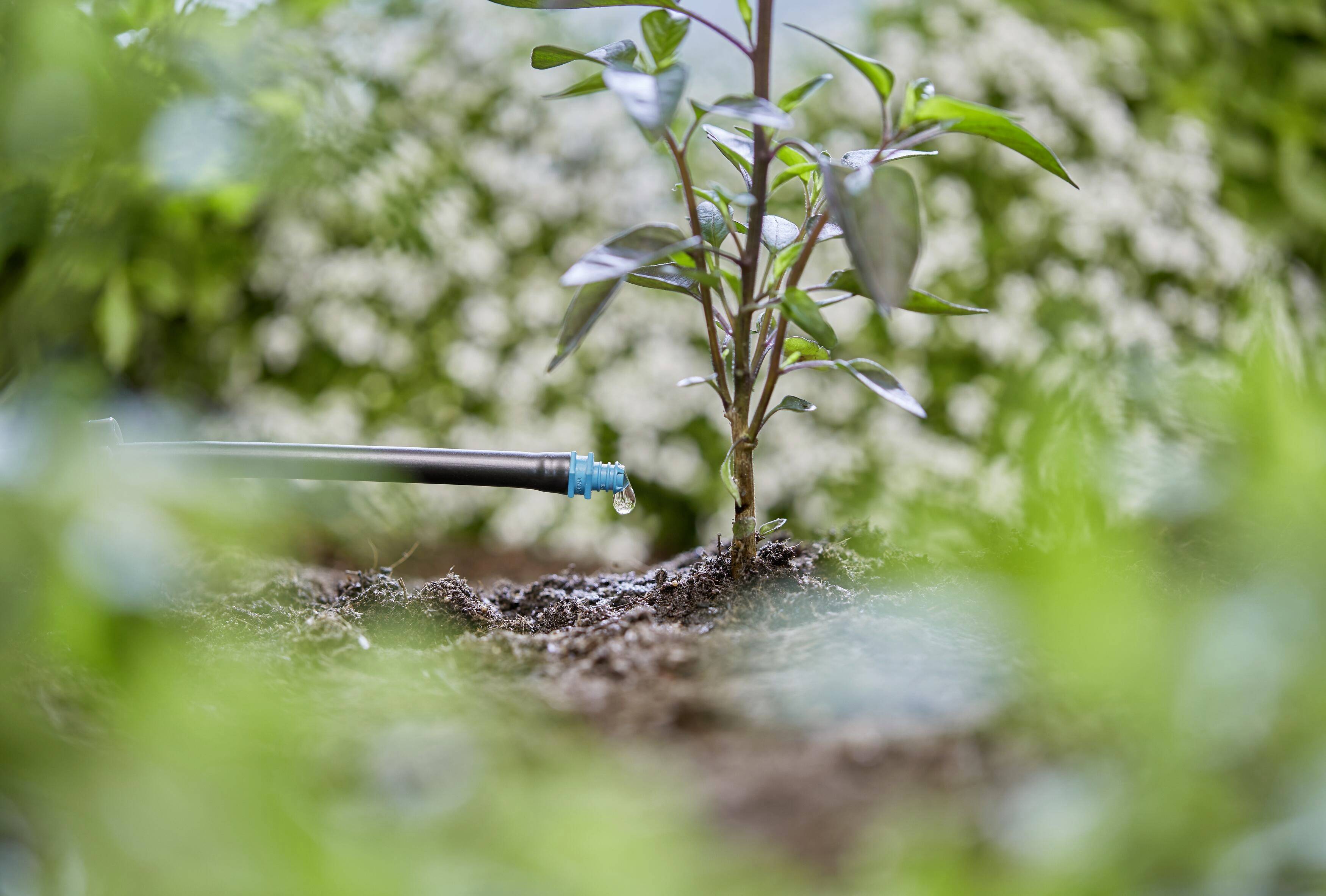 GARDENA Micro-Drip-System 13307-20 Wkraplacz końcowy 4,6 mm (3/16")-4