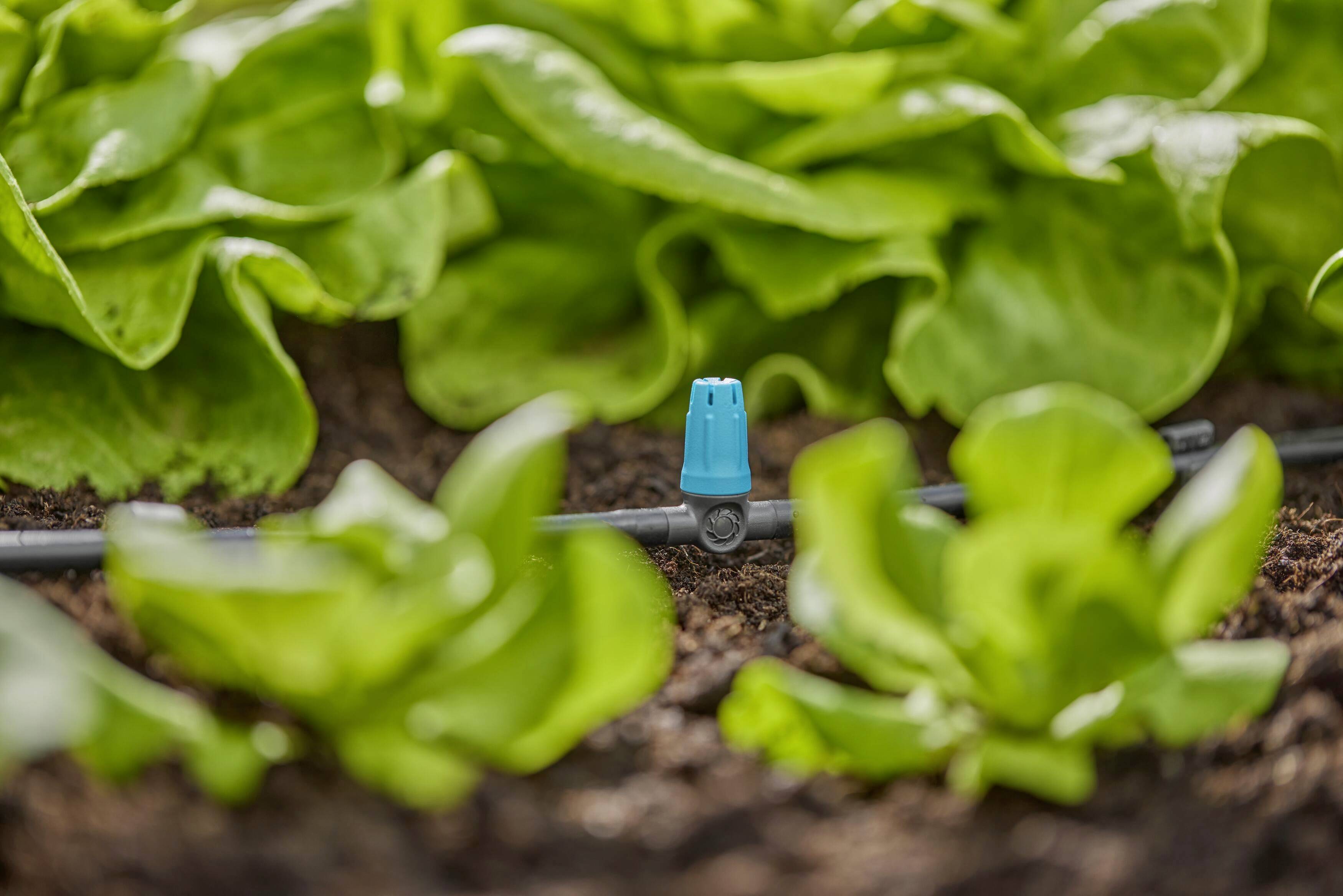 GARDENA Micro-Drip-System 13316-20 Dysza do małych powierzchni 4,6 mm (3/16")-4