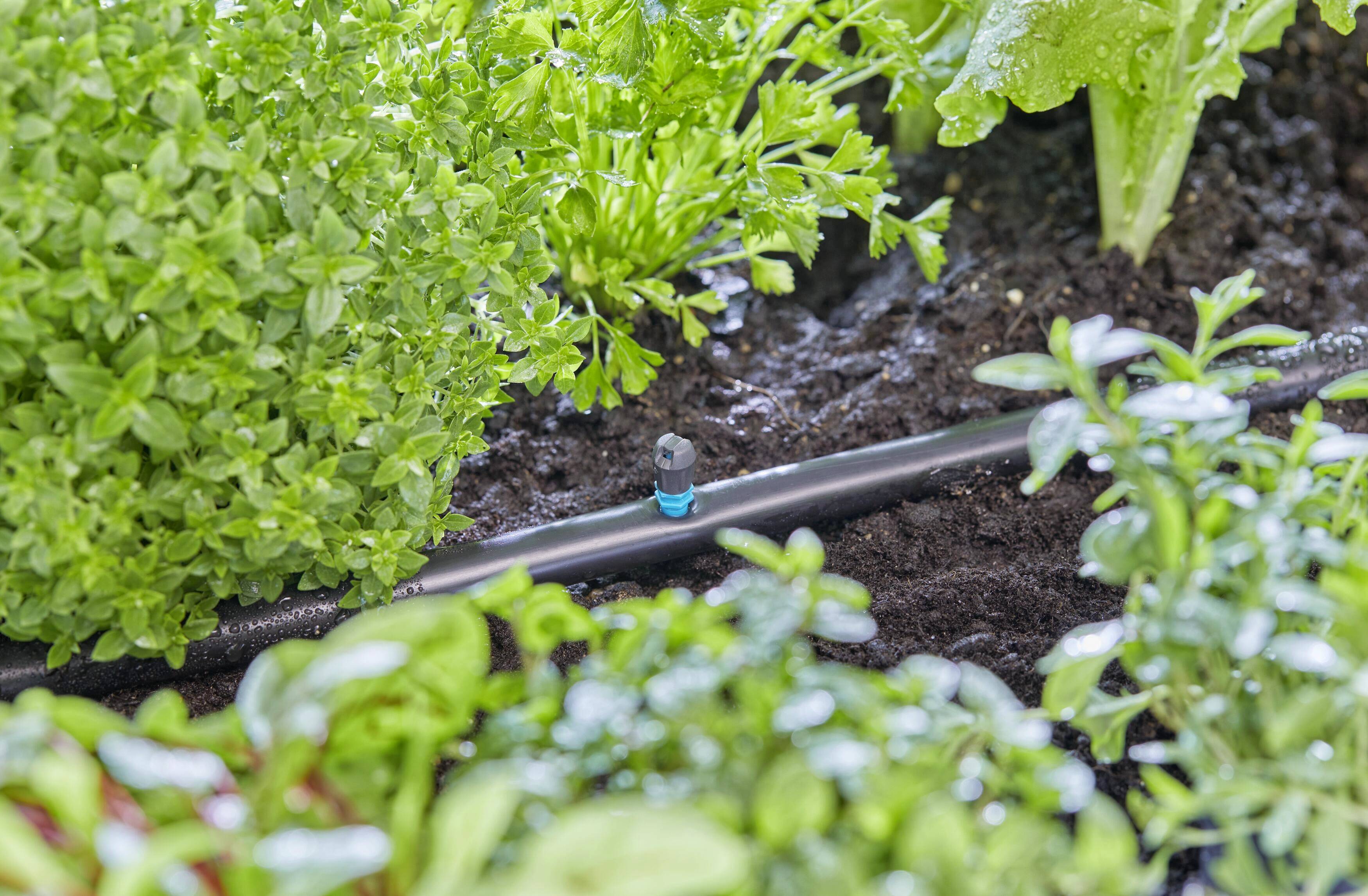 GARDENA Micro-Drip-System 13319-20 Dysza paskowa 13 mm (1/2") Ø-4