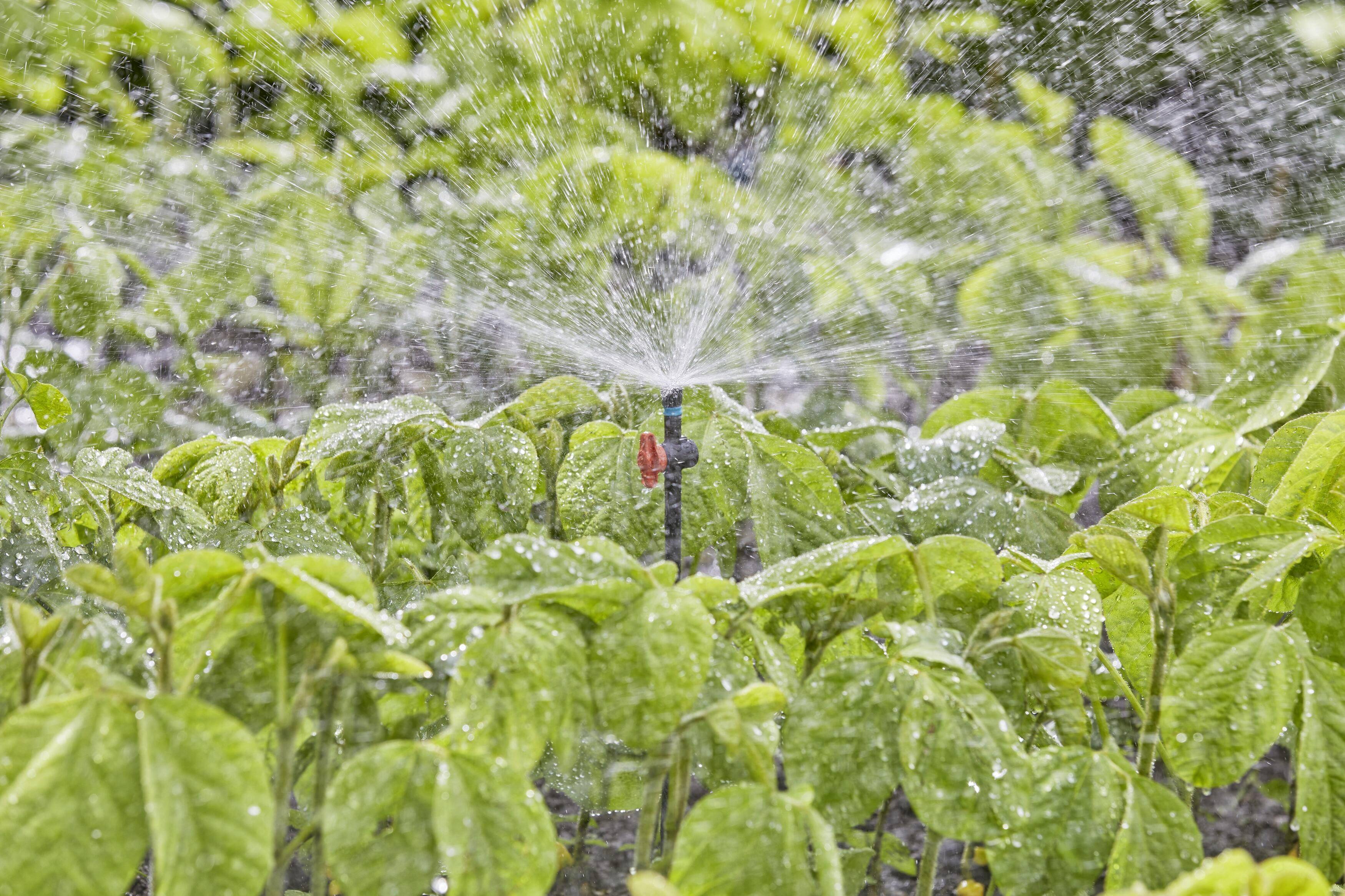 GARDENA Micro-Drip-System 13322-20 Dysza rozpylająca 13 mm (1/2") Ø-6