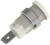 Electro PJP 3266-C-CD1-BC Złącze żeńskie laboratoryjne zabezpieczone 1 szt.