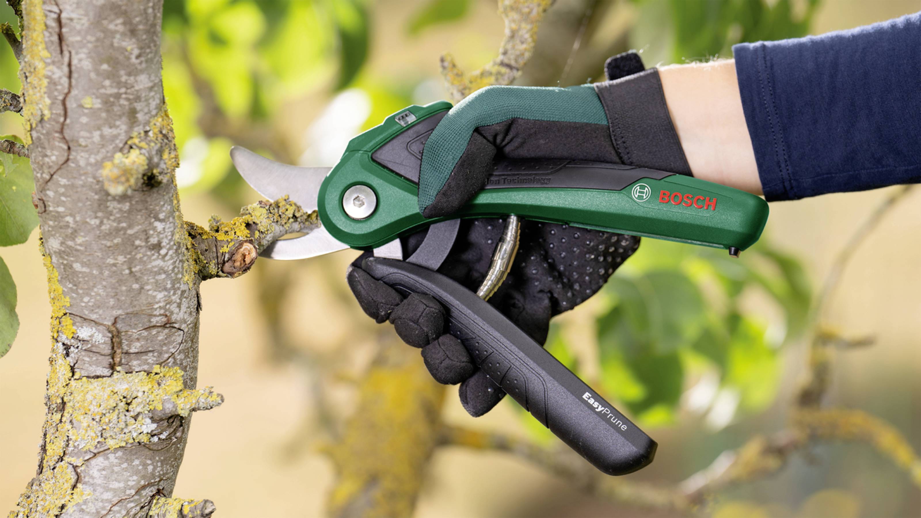 Садові ножиці Bosch Home and Garden 06008B2102 EasyPrune, двосторонній наконечник 250 мм