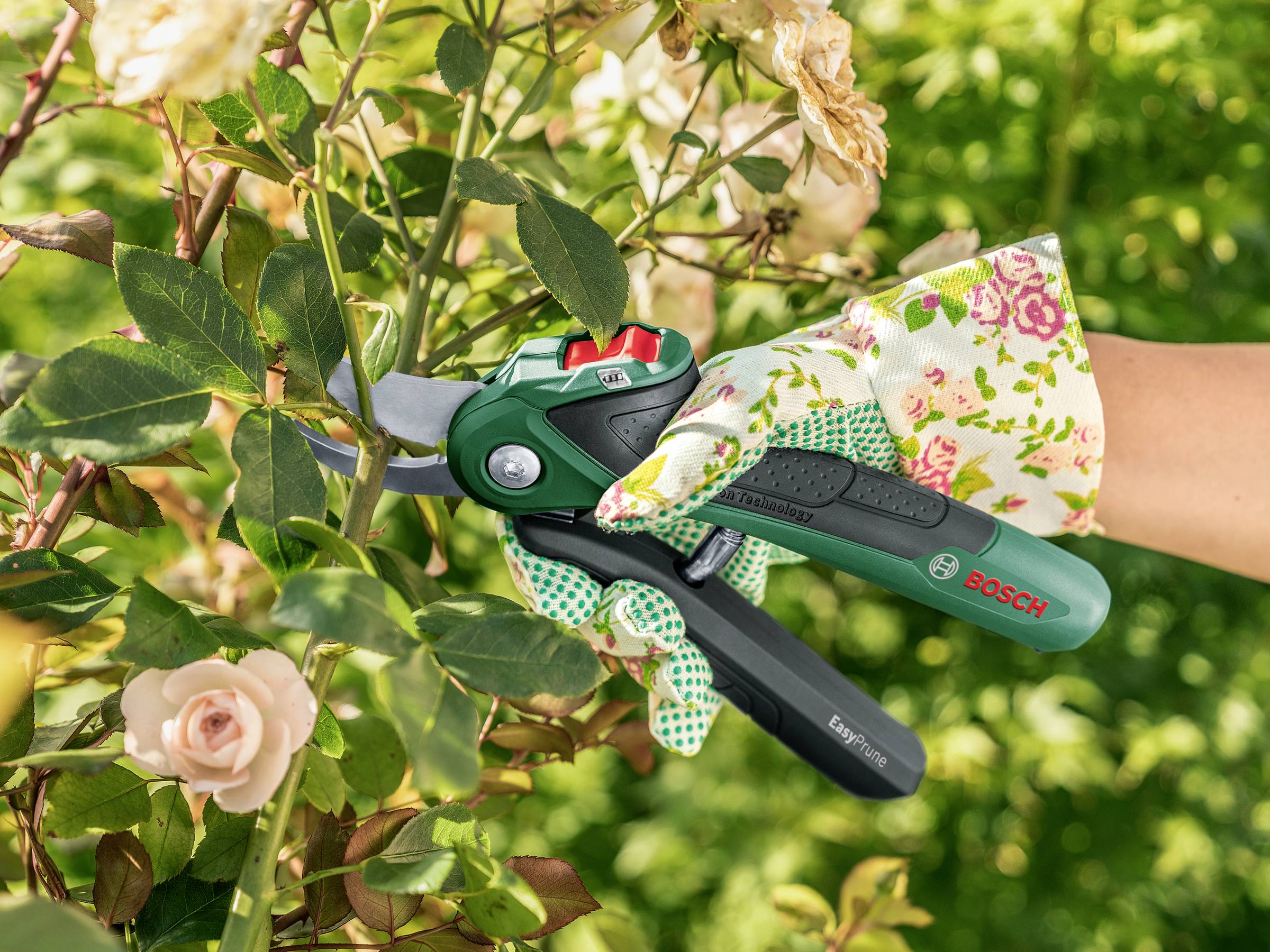 Садові ножиці Bosch Home and Garden 06008B2102 EasyPrune, двосторонній наконечник 250 мм