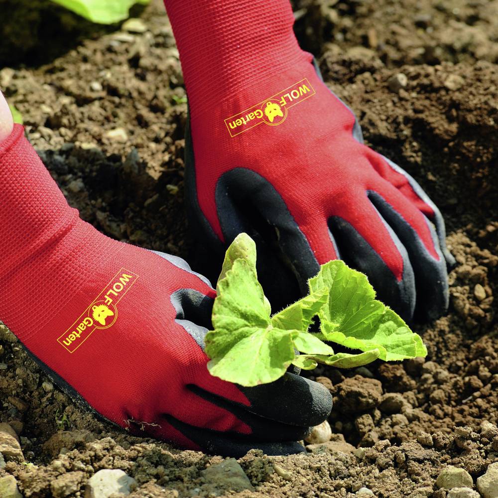 Osoba w czerwonych rękawiczkach sadzi zieloną warzywę w luźnej, brązowej ziemi.