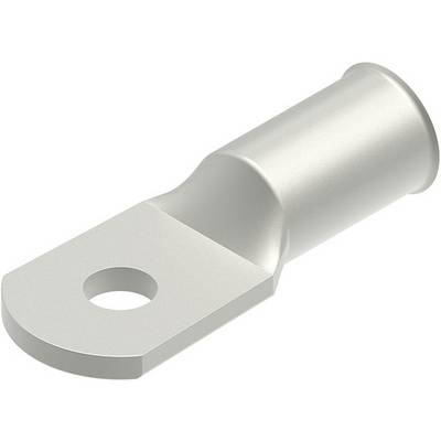 Molex 192210422 Końcówka oczkowa 1 szt.-0