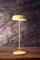 Żółta lampa stojąca z okrągłym kloszem przed teksturowaną ścianą na drewnianym stole. Lampa emituje miękkie światło.