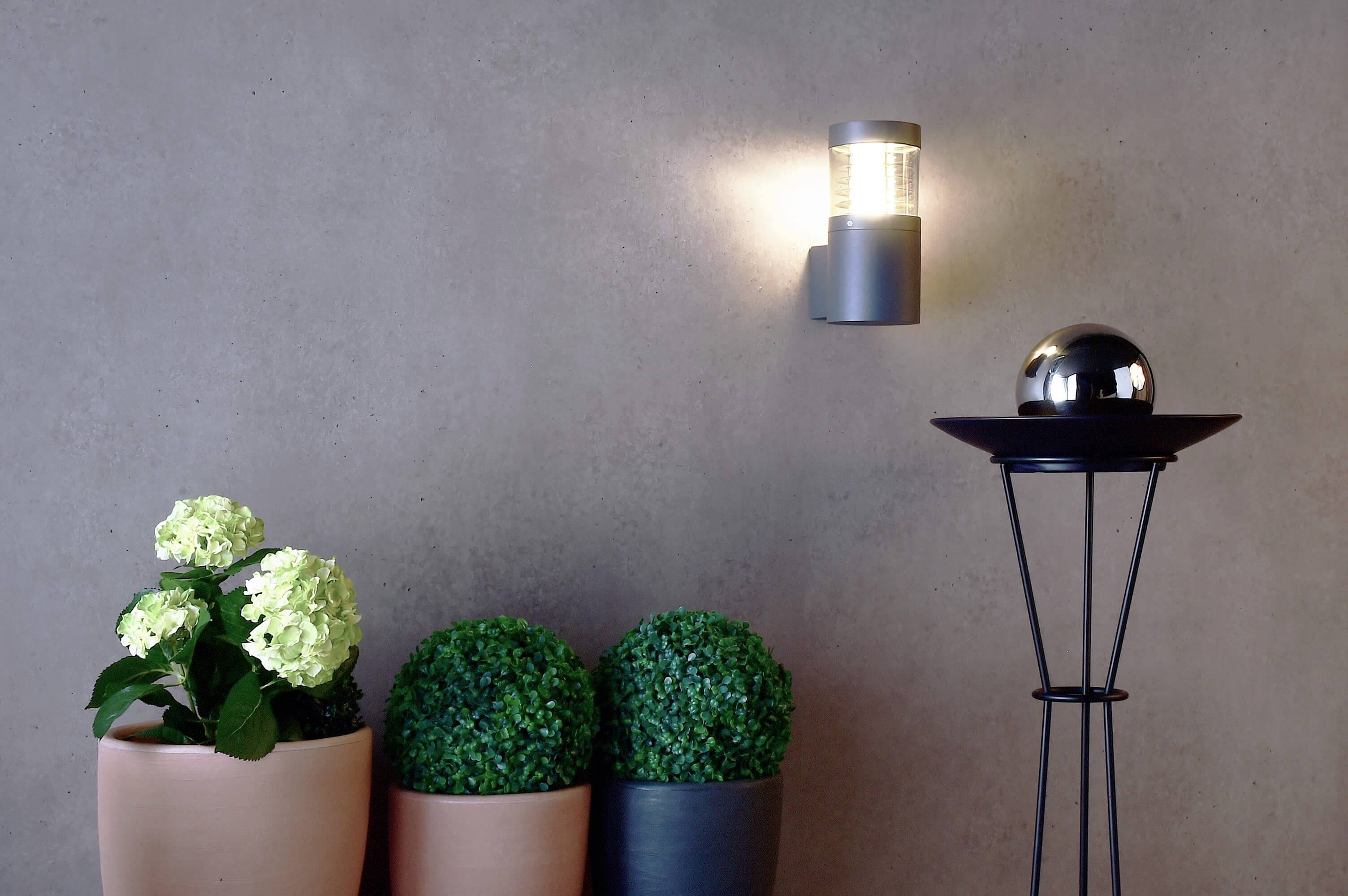 Trzy doniczkowe rośliny obok nowoczesnej, świecącej lampy ściennej i dekoracyjnej metalowej kuli na stojaku przed szarą ścianą.