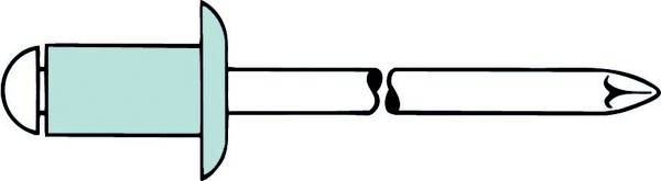 Rysunek nita z jasnoniebieskim kapturkiem i rozszczepionym, spiczastym trzpieniem.