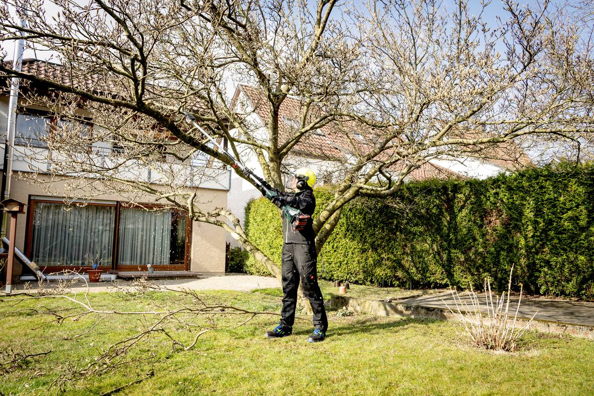 Osoba przycina gałęzie dużego, pozbawionego liści drzewa w ogrodzie domu mieszkalnego. Ma na sobie odzież ochronną i kask.