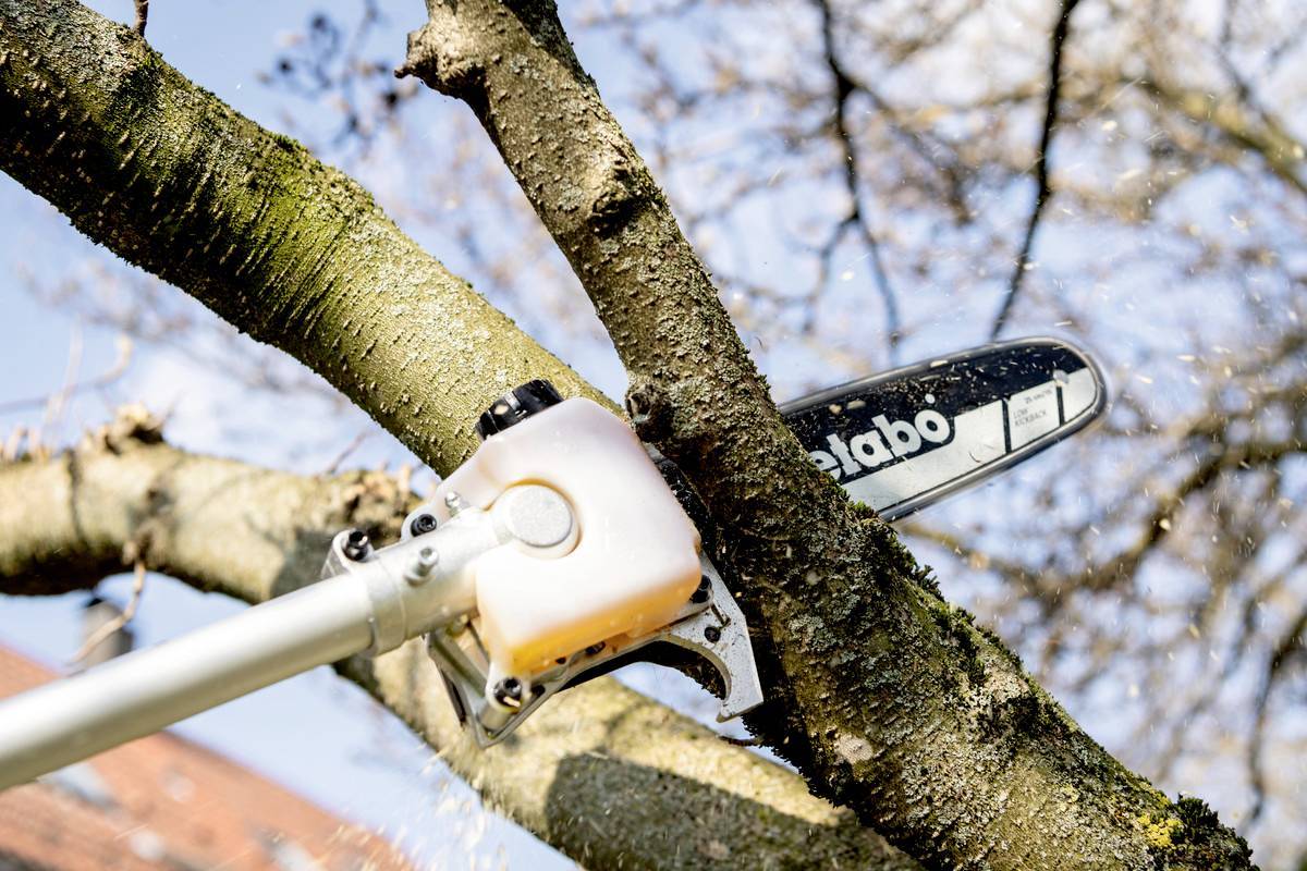 Piła mechaniczna przecina gałąź drzewa. W tle widać nieostre gałęzie i błękitne niebo.