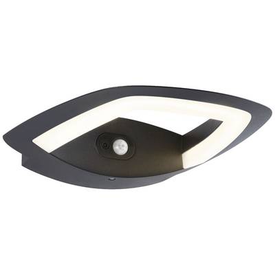 Nowoczesna lampa sufitowa LED z zintegrowanym czujnikiem ruchu. Owalna, czarna obudowa z jasno świecącą krawędzią.