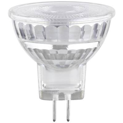 Przejrzysta lampa LED w kształcie MR16 z trzpieniowym gniazdem GU5.3, typowa dla oświetlenia punktowego, na białym tle.