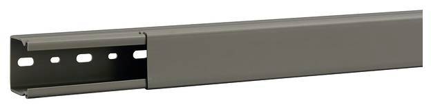 Канал для пучків Hager B4004007030B B4004007030B (Д x Ш x В) 2000 x 45 x 44 мм 2 м