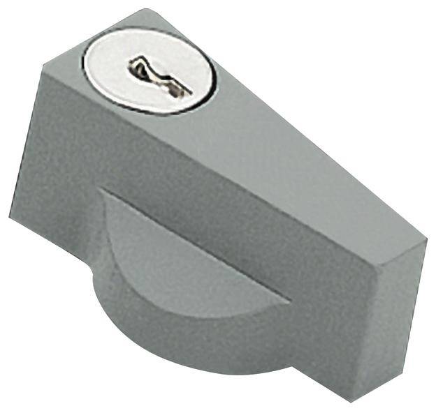 Szary, prostokątny element metalowy z otworem na klucz u góry, prawdopodobnie mechanizm zamykający lub gałka.