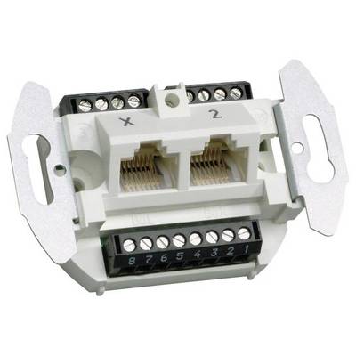 Modularny blok przyłączeniowy sieci z dwoma gniazdami RJ45 oraz wieloma złączami śrubowymi do podłączenia kabli sieciowych.