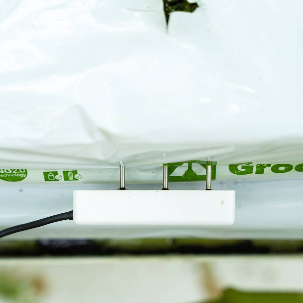 System nawadniania, który dostarcza wodę przez dwie igły do woreczka z rośliną. Worek wyświetla symbole zrównoważonego rozwoju.