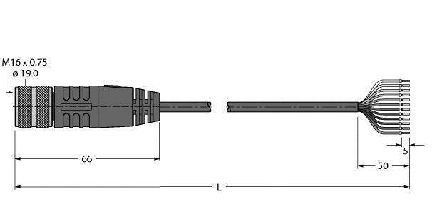 Rysunek techniczny złącza z widokiem kabla i oznaczeniami: 'M16 x 0,75', 'Ø 19,0' oraz 'L'. Wymiary wynoszą 66 mm i 50 mm.