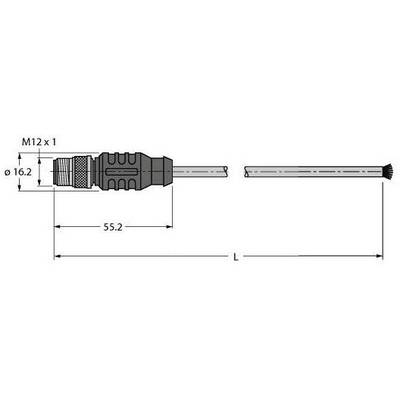 Rysunek techniczny złącza M12 z wymiarami: średnica 16,2 mm, długość 55,2 mm, gwint M12 x 1.