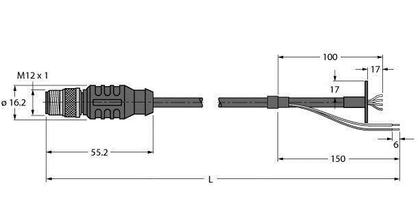 Rysunek techniczny złącza M12 z wymiarami. Po lewej: średnica 16,2 mm, długość 55,2 mm. Po prawej: długość kabla 100 mm i 150 mm.