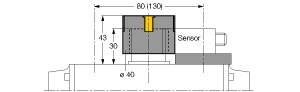 Rysunek techniczny czujnika z wymiarami: szerokość 60-113 mm, wysokość 43 mm, kolejny wymiar 30 mm, średnica 40 mm.